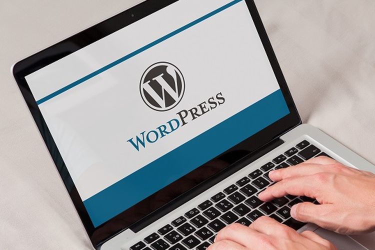 cara membuat wordpress