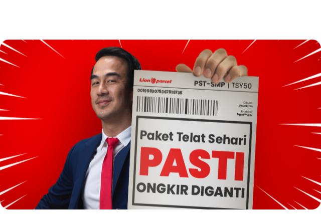 system lion parcel
