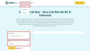 cek resi id express